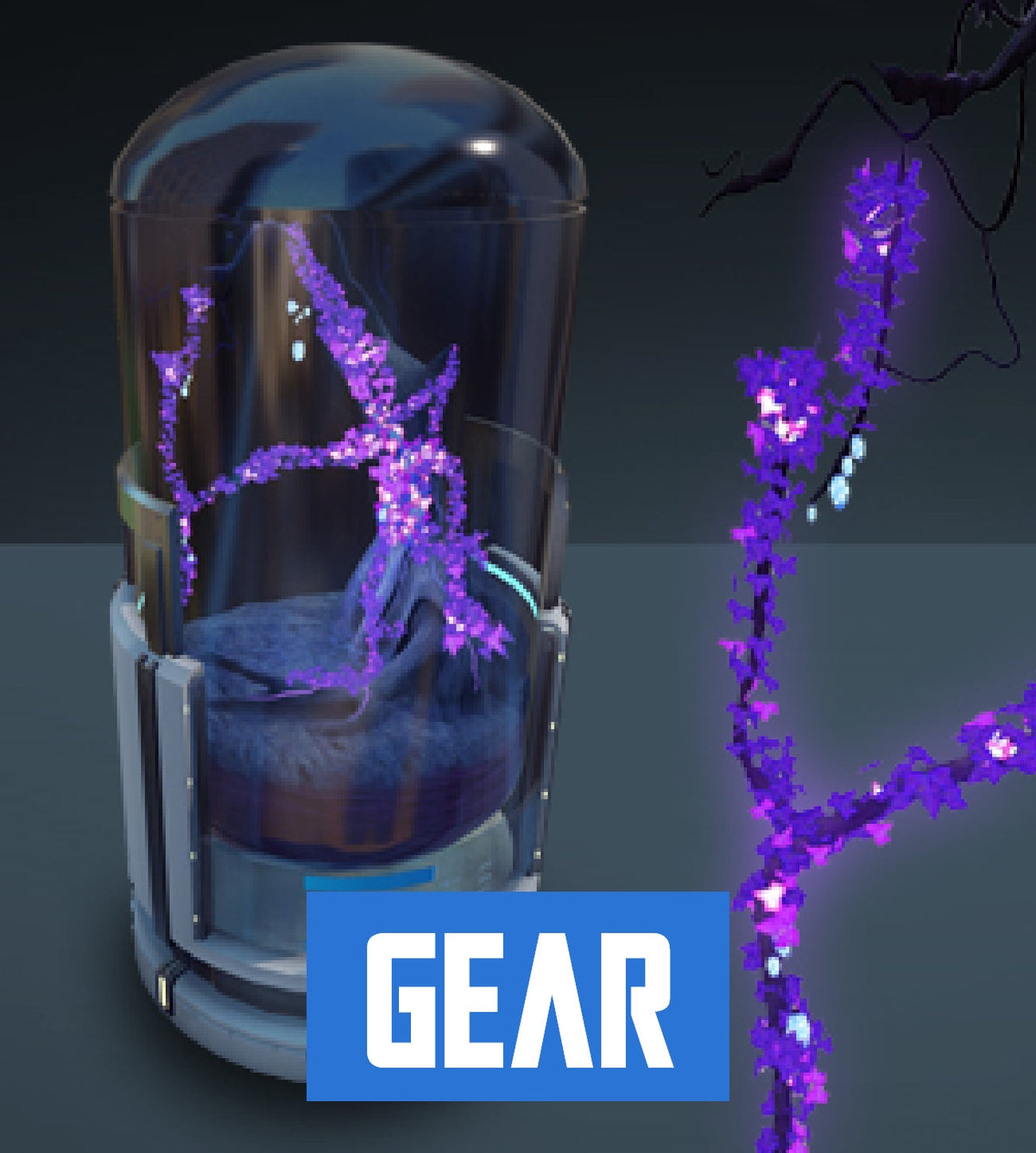 Space Plant - Ophelia Vine