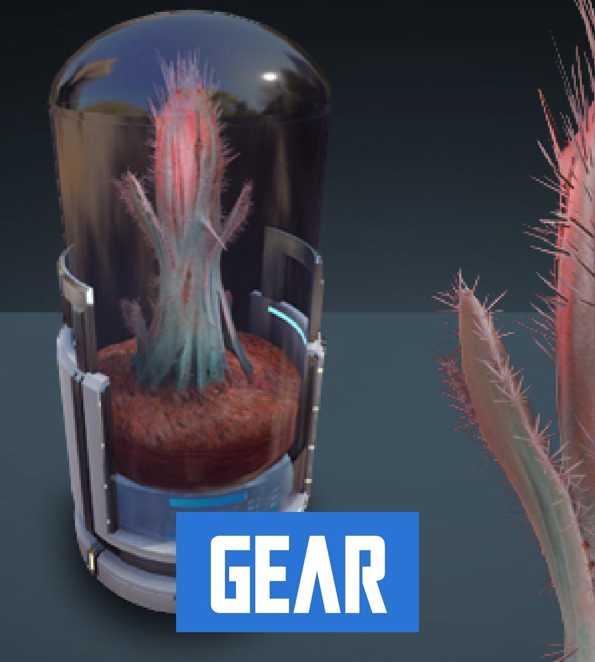 Space Cactus - Kavische