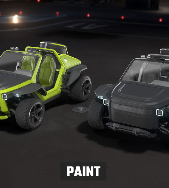 STV - 2 Paint Pack