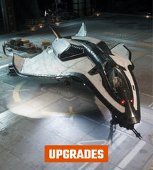 Upgrade to Avenger Stalker