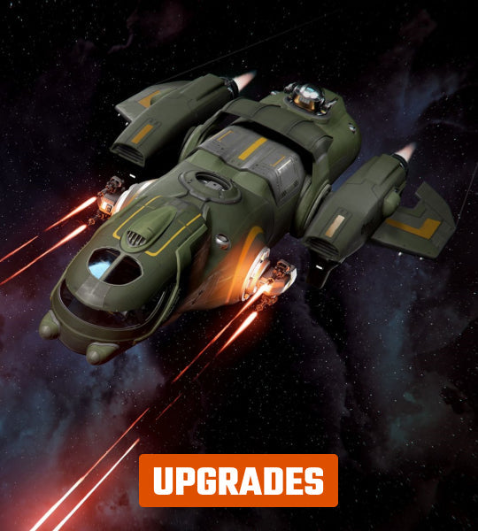Upgrade to Freelancer MIS