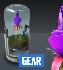 Space Flower - Emperor Blossom